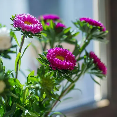 Gemuetliches In Hasenfeld Mit Grossem Garten Hébergement de vacances *